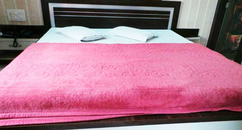 Hotel raj Palace, Ajmer 5